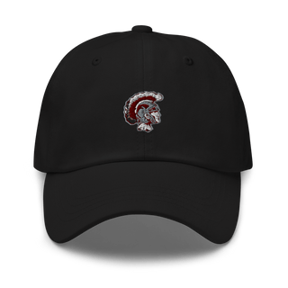 Dougherty Comprehensive High School Basketball 26156700  classic hat -