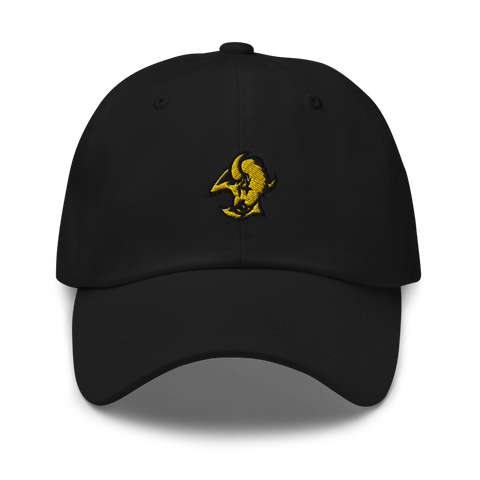 Floyd County High School Basketball 44585591  classic hat -