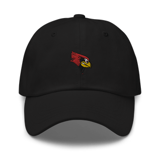 Redbirds Soccer 8871614  classic hat -