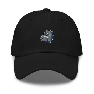 Desoto County High School Basketball 2166073  classic hat -
