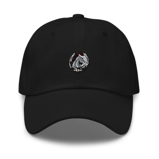 South Effingham High School Basketball 87782468  classic hat -