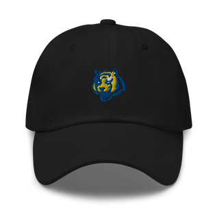 Stanfield High School 86533212  classic hat -