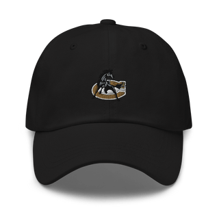 Sampson Middle School 1794361  classic hat -