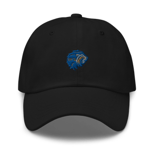 Elkhart High School Basketball 35338743  classic hat -