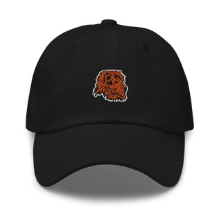 Lanphier High School Basketball 10525030  classic hat -