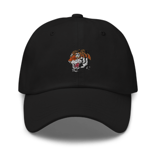 Webster High School Ice Hockey 4814594  classic hat -