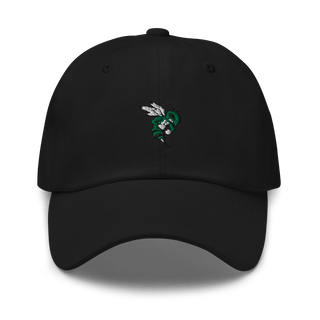Frazee Hornets 47436308  classic hat -