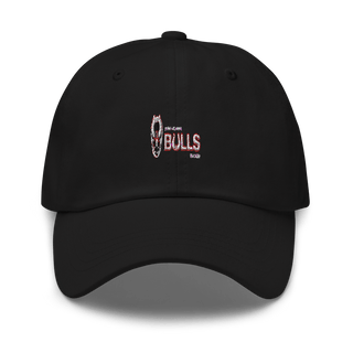 Birmingham Bulls-Hockey Club 67466756  classic hat -