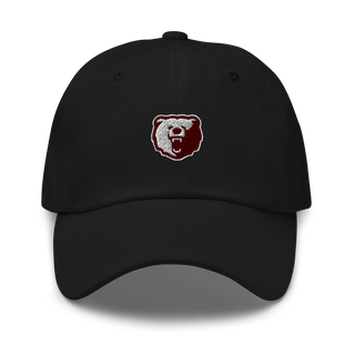 Willow Springs Middle School Basketball 31020746  classic hat -