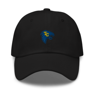 Todd County Elementary School 93324693  classic hat -