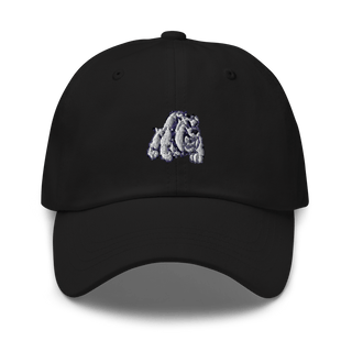 The Titusville Academy 62839269  classic hat -