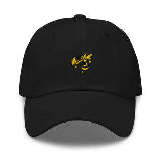 Haynes Academy For Advanced Studies Swimming 8741483  classic hat -