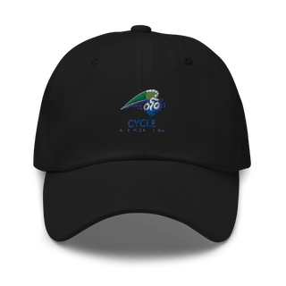 North Carolina Amateur Sports 80522235  classic hat -