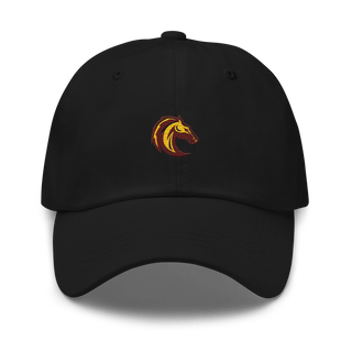 Southwest Preparatory School - Southeast Campus 37544282  classic hat -