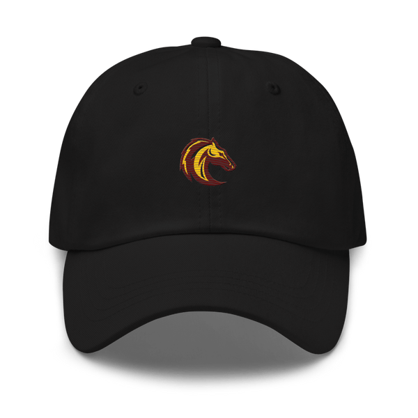Southwest Preparatory School - Southeast Campus 37544282  classic hat -