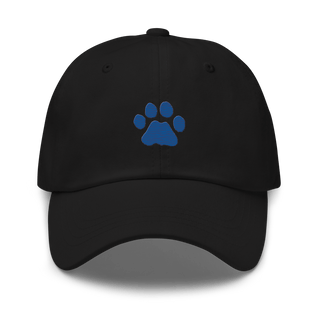 Cherryfield Elementary School 53264844  classic hat -