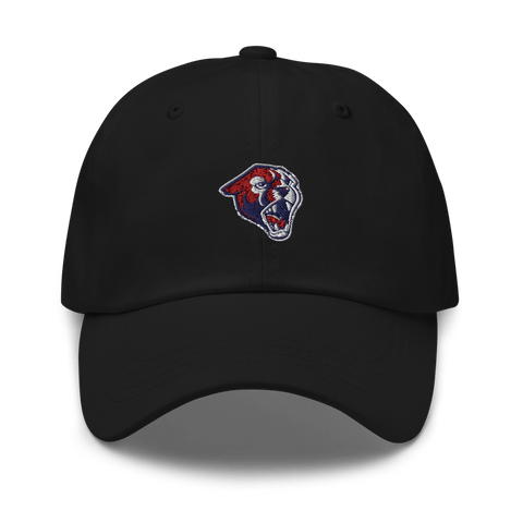 Perry High School Softball 23229764  classic hat -