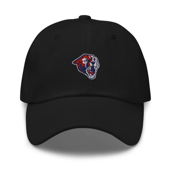 Perry High School Softball 23229764  classic hat -