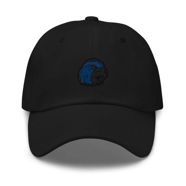 Shorter University 15103226  classic hat -