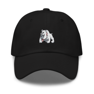 Holmes Community College Softball 62235398  classic hat -