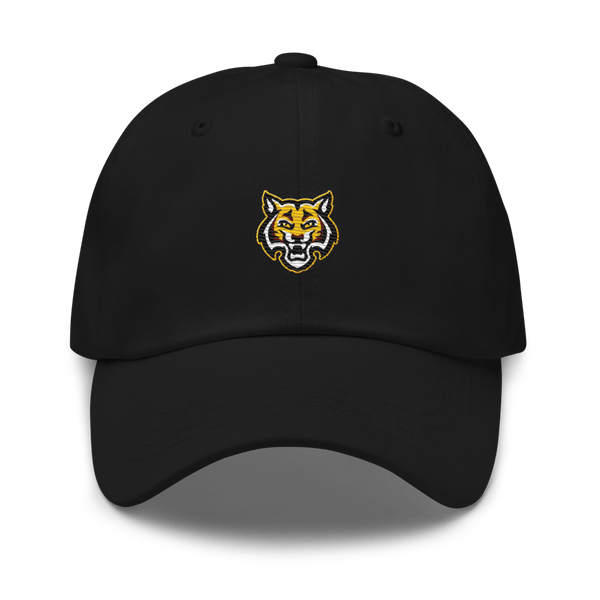 Dooly County High School 	Baseball 57263885  classic hat -