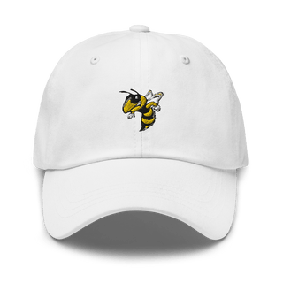 Maine Sting Basketball 4020833  classic hat -