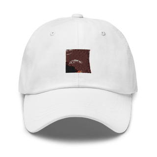 Fox Co PATHFINDERS 42304654  classic hat -