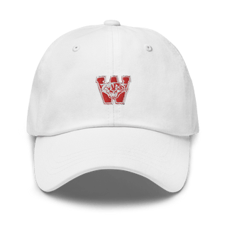 Los Banos Wildcats 9180507  classic hat -