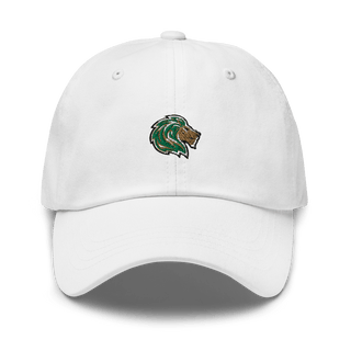 Denton Calvary Academy 61911508  classic hat -
