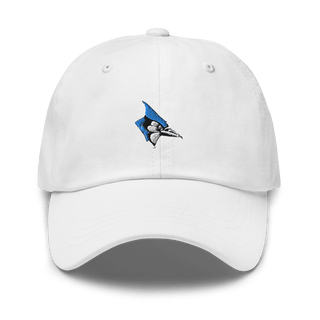 Oak Ridge R-6 High School 85998185  classic hat -