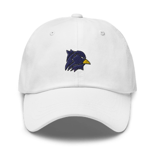 Ashland High School 84461471  classic hat -