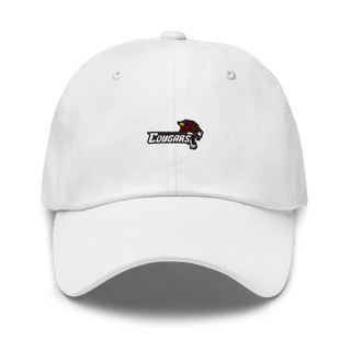 Lehigh Carbon Community College 17953281  classic hat -