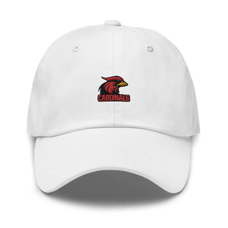 Corona High School Volleyball 50889098  classic hat -