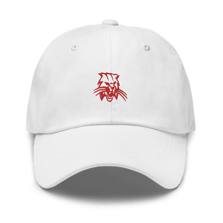 Benson High School 63796616  classic hat -