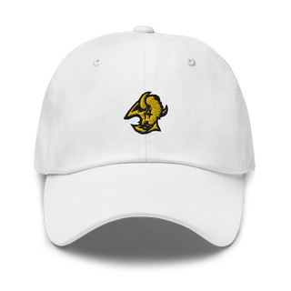 Floyd County High School Basketball 44585591  classic hat -