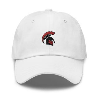 Discovery High School Basketball 24970780  classic hat -