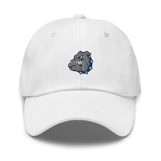 Desoto County High School Basketball 2166073  classic hat -