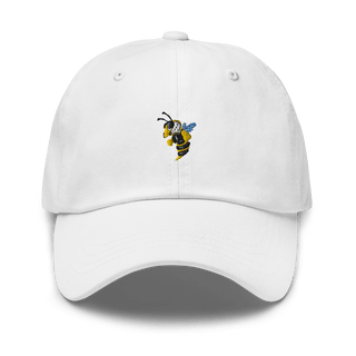 Dallas County High School Basketball 55254763  classic hat -