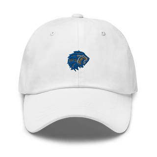 Elkhart High School Basketball 35338743  classic hat -