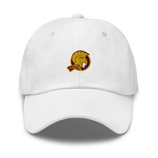 Buckeye Valley High School Swimming 66949438  classic hat -