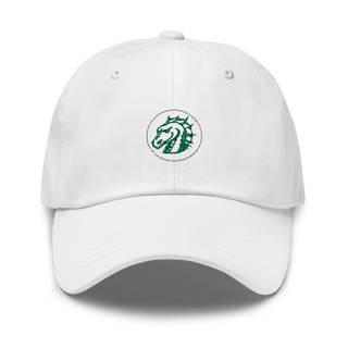 Ladue Fifth Grade Center 45746629  classic hat -