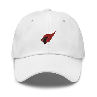 Metamora Township High School Basketball 10386422  classic hat -