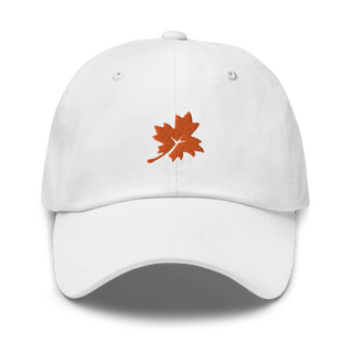 Maple Park Charter School 55526408  classic hat -
