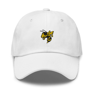 Haynes Academy For Advanced Studies Swimming 8741483  classic hat -