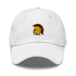 Hillsboro High School Swimming 25849628  classic hat -