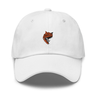 C 1-43 ADA 26758454  classic hat -