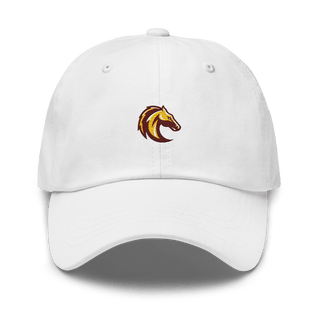 Southwest Preparatory School - Southeast Campus 37544282  classic hat -