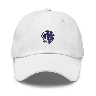 Ben Bolt-Palito Blanco High School Basketball 31400271  classic hat -