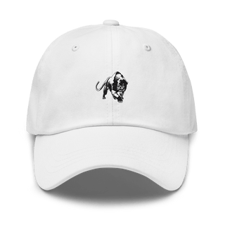 Proviso West High School Track 1287016  classic hat -
