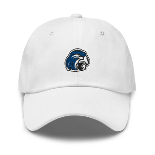 Shorter University 15103226  classic hat -